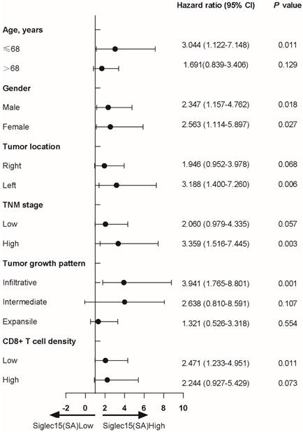 J Cancer Image