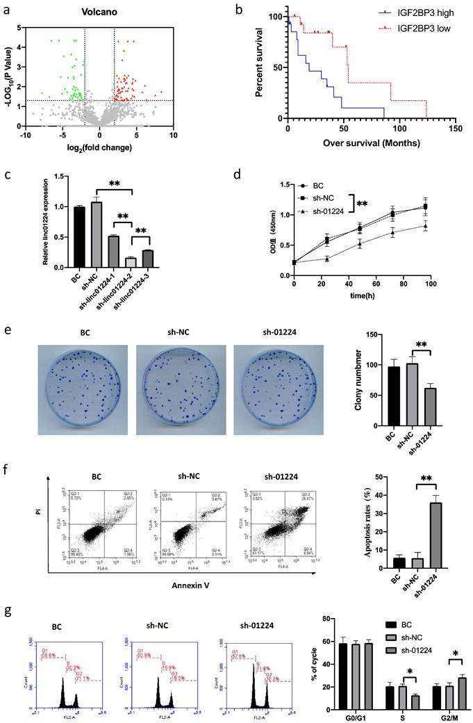 J Cancer Image