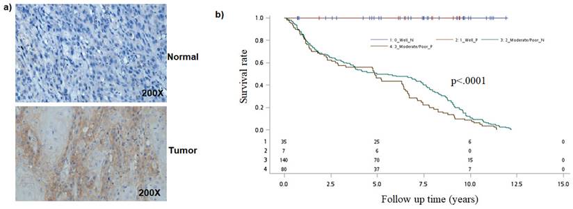 J Cancer Image