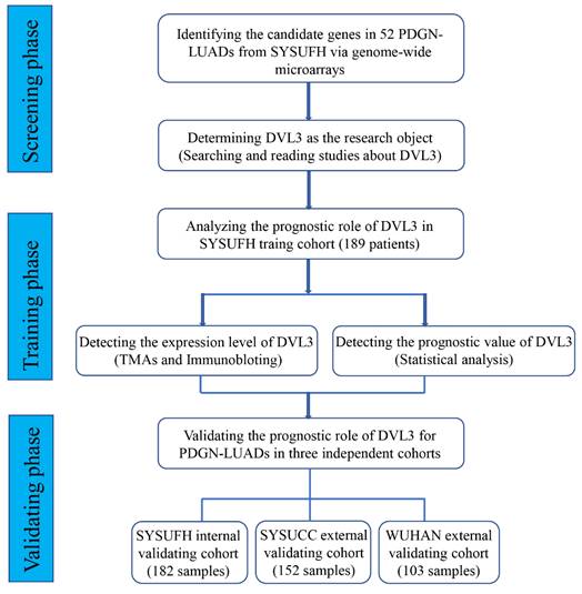 J Cancer Image