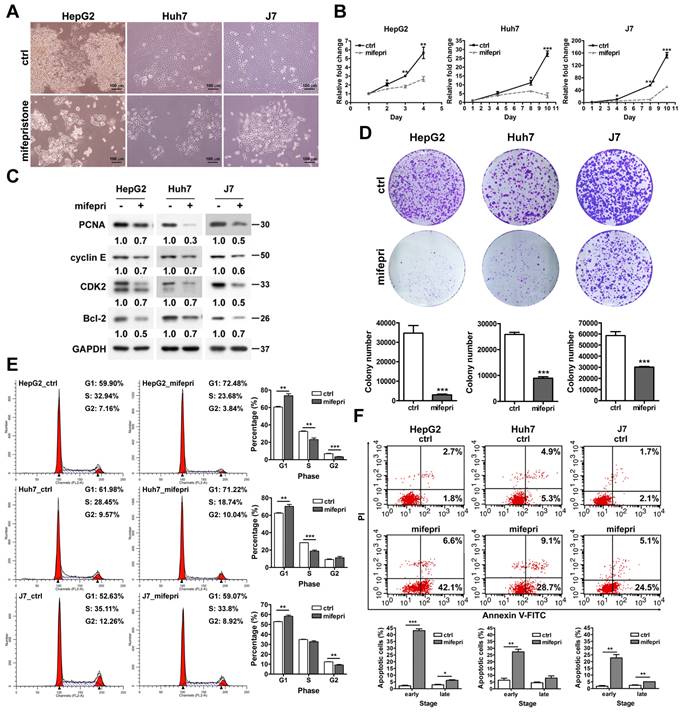 J Cancer Image