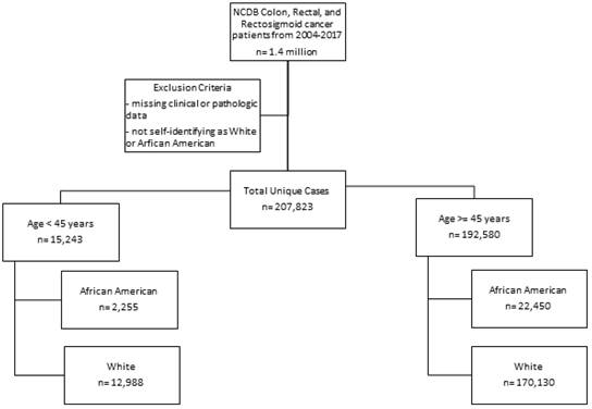 J Cancer Image