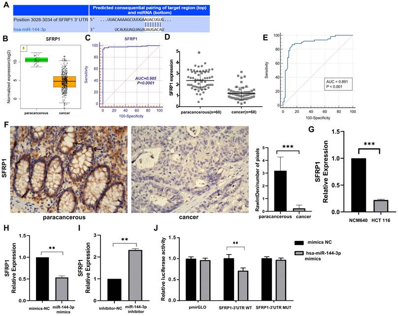 J Cancer Image