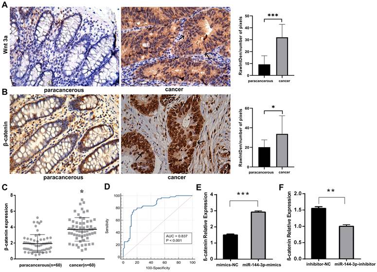 J Cancer Image