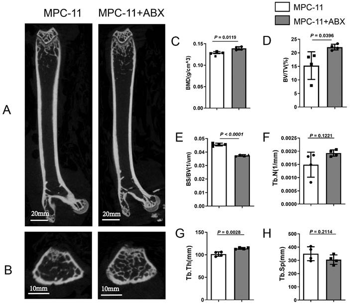 J Cancer Image