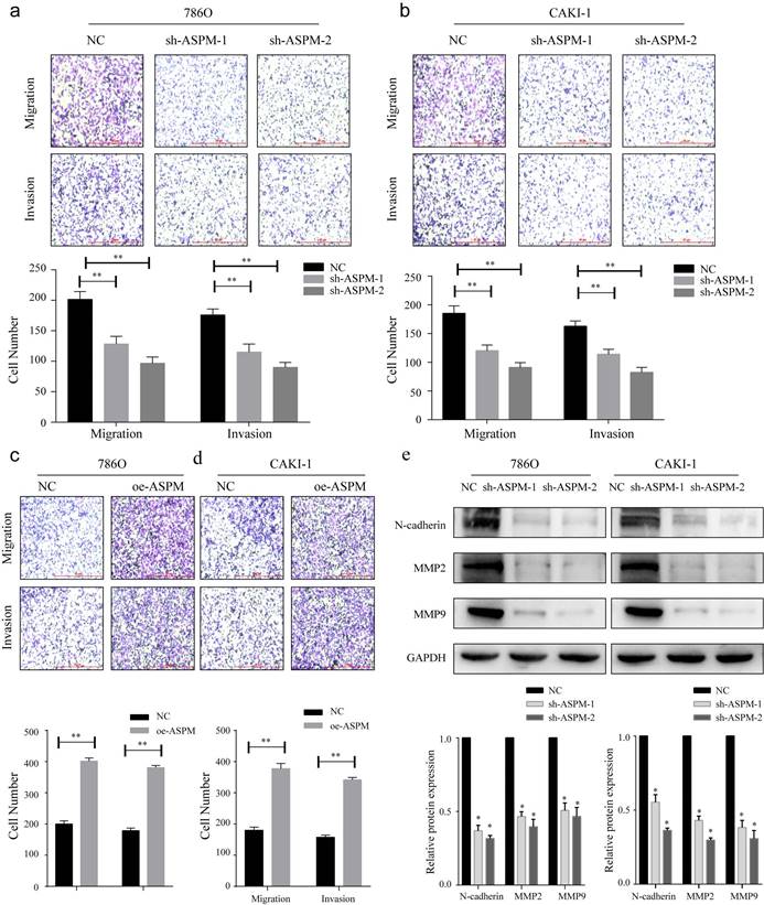 J Cancer Image