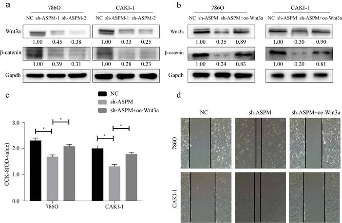 J Cancer Image