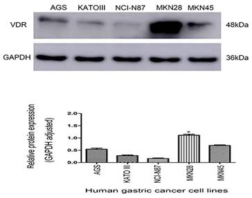 J Cancer Image