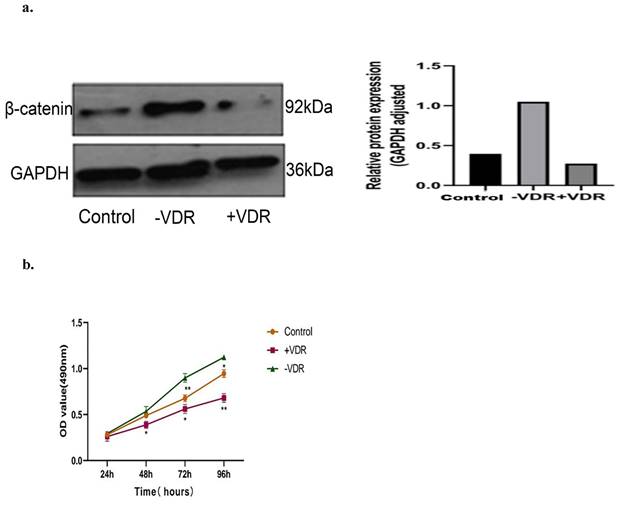 J Cancer Image