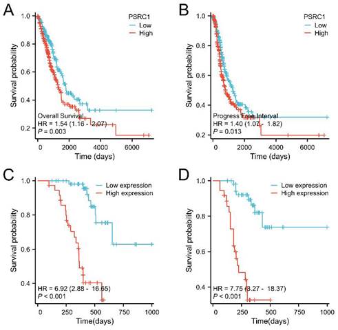 J Cancer Image