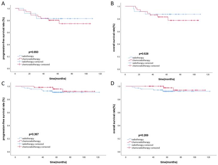 J Cancer Image