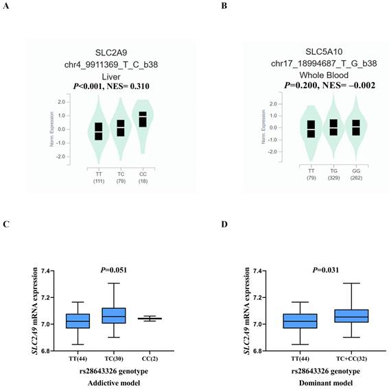 J Cancer Image