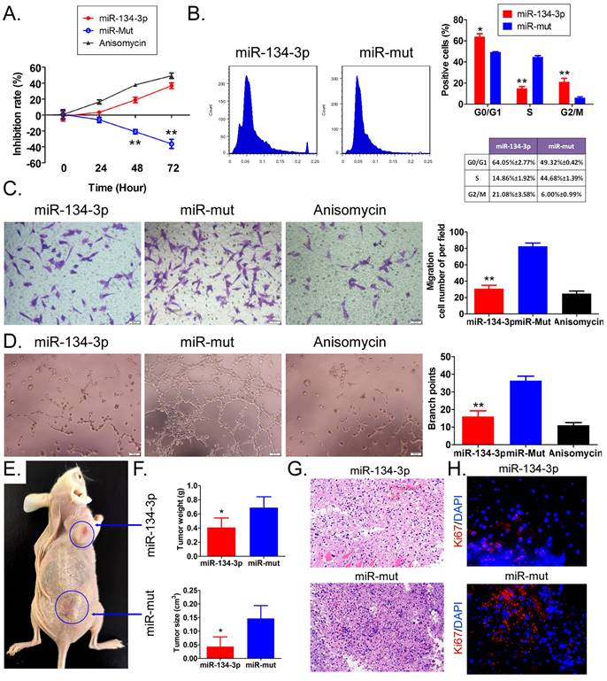 J Cancer Image