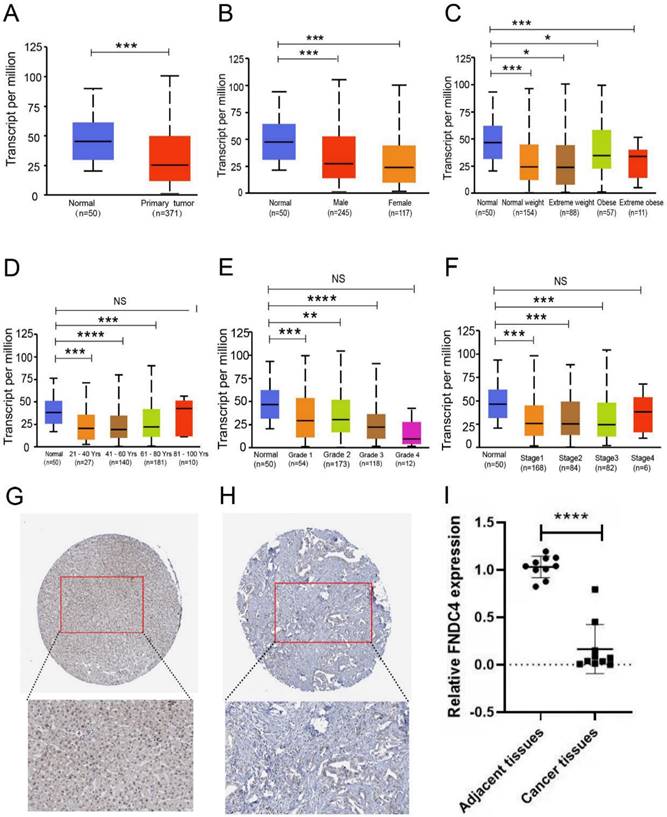 J Cancer Image