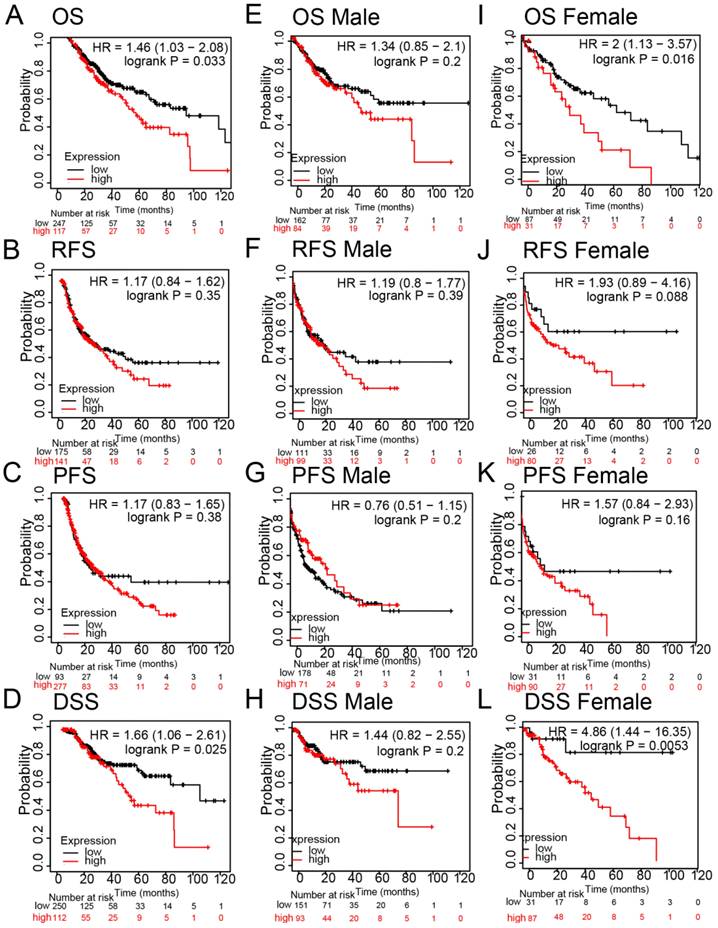 J Cancer Image