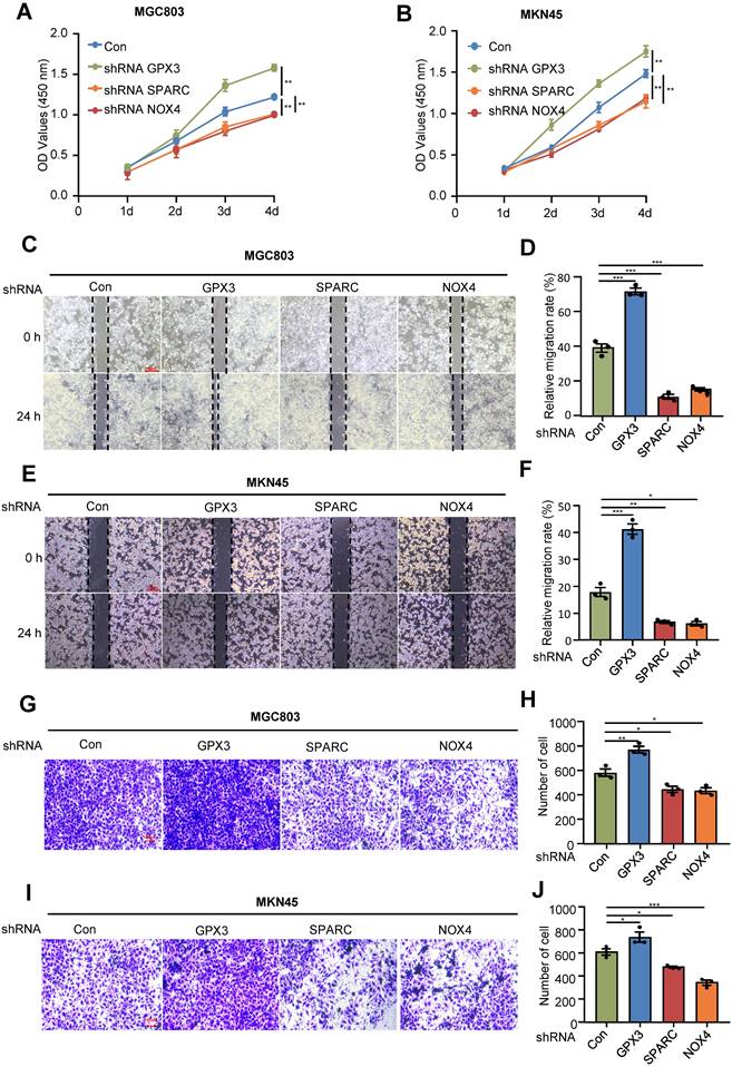 J Cancer Image