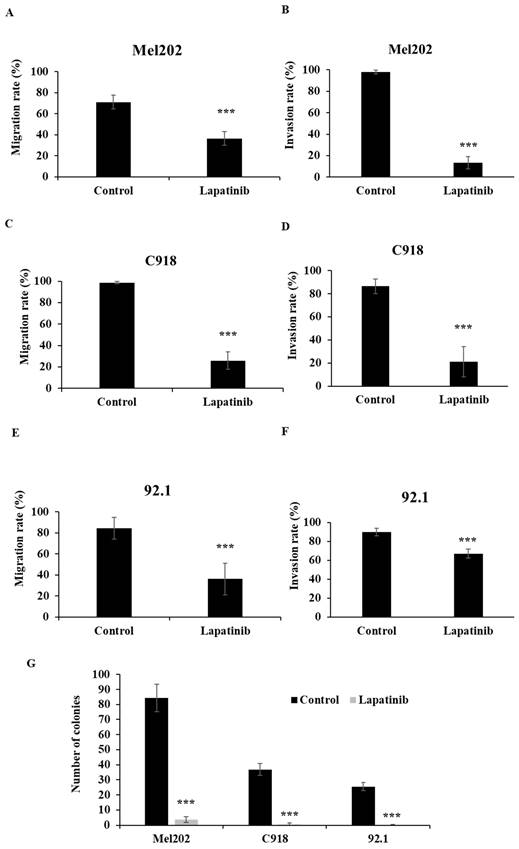 J Cancer Image