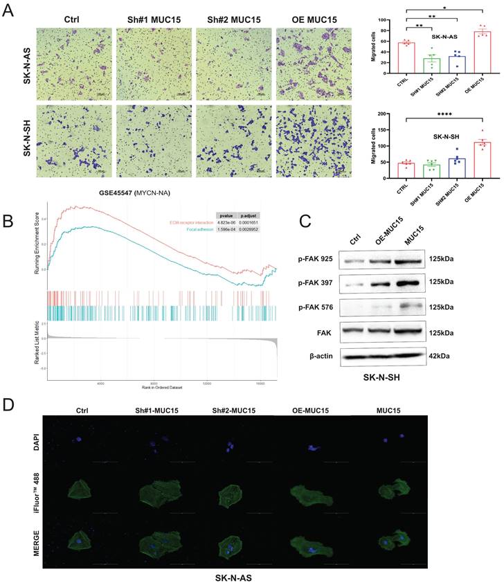 J Cancer Image