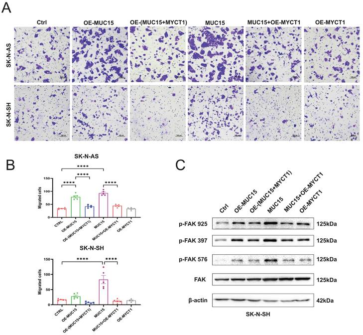 J Cancer Image