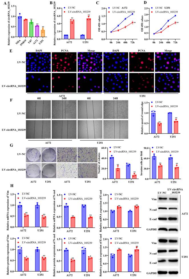 J Cancer Image