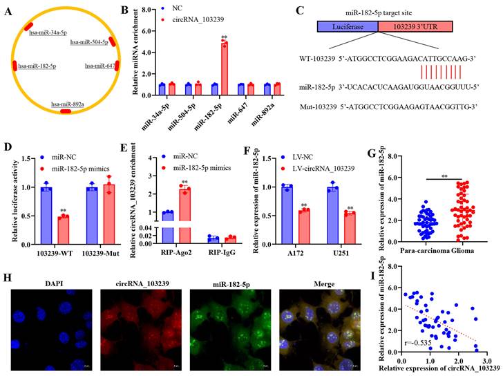 J Cancer Image