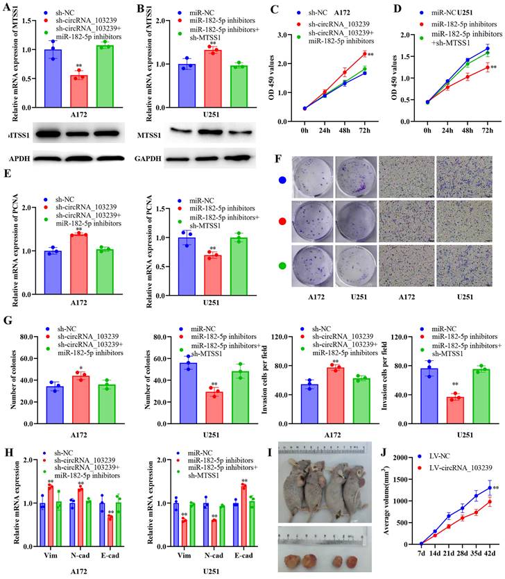 J Cancer Image