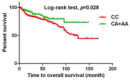 J Cancer Image