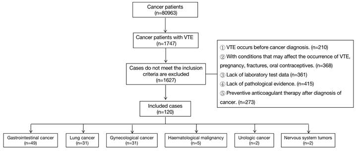 J Cancer Image