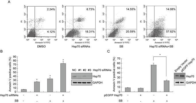 J Cancer Image