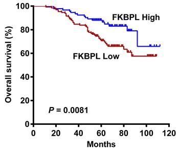 J Cancer Image