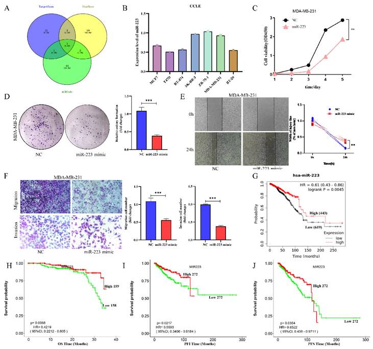 J Cancer Image