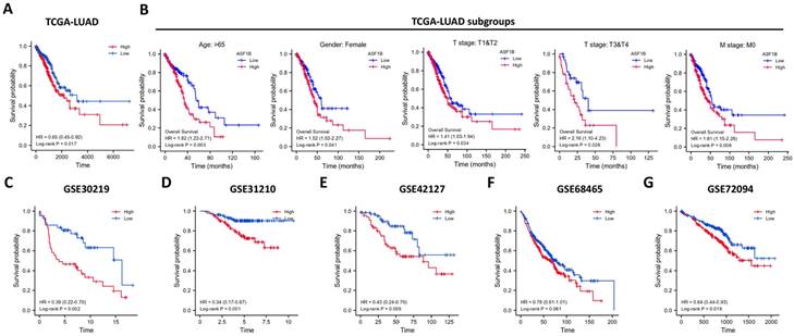 J Cancer Image