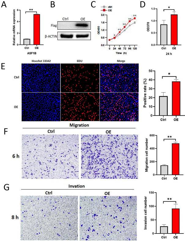 J Cancer Image