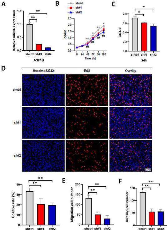 J Cancer Image