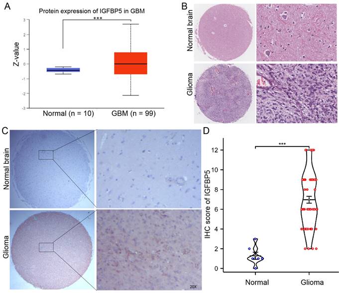 J Cancer Image