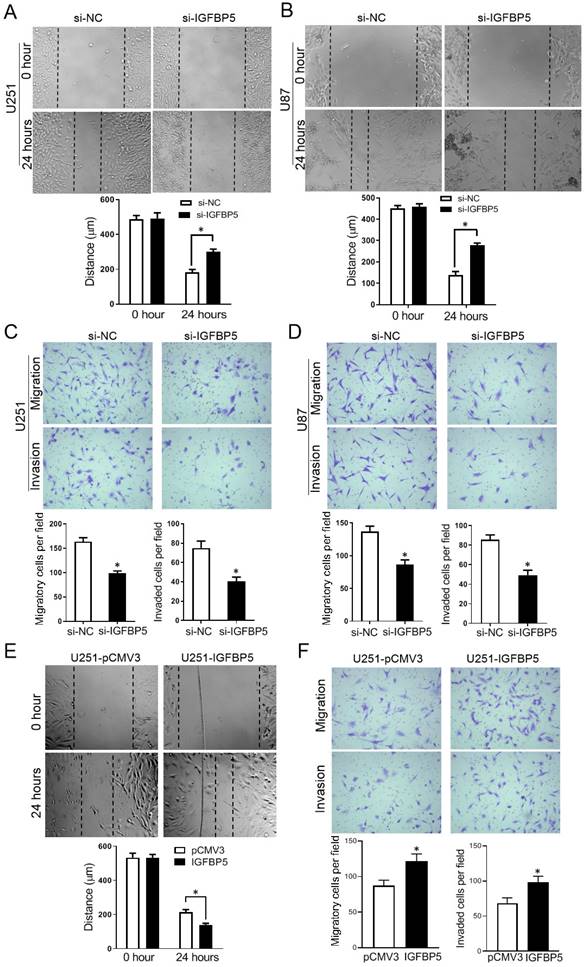 J Cancer Image