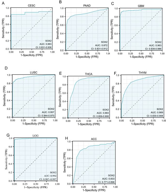 J Cancer Image