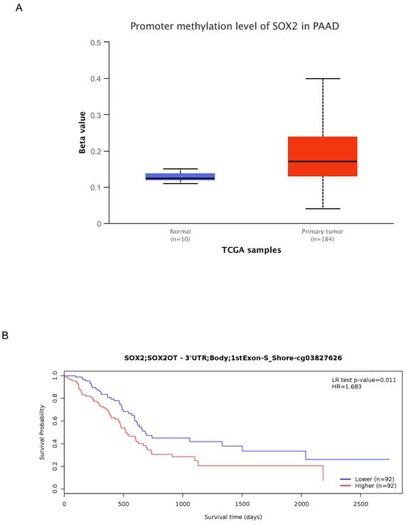 J Cancer Image