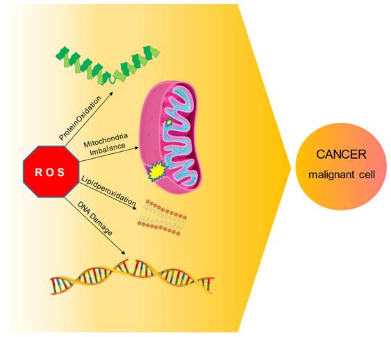 J Cancer Image