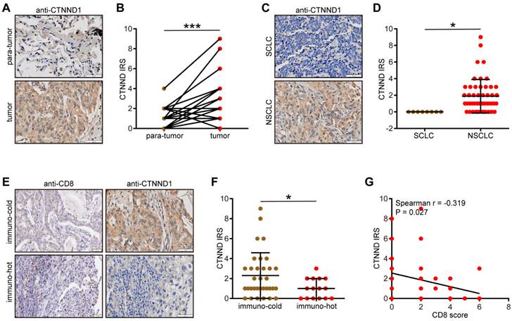 J Cancer Image