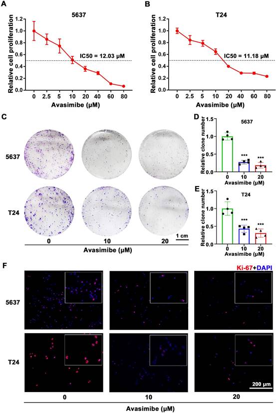 J Cancer Image