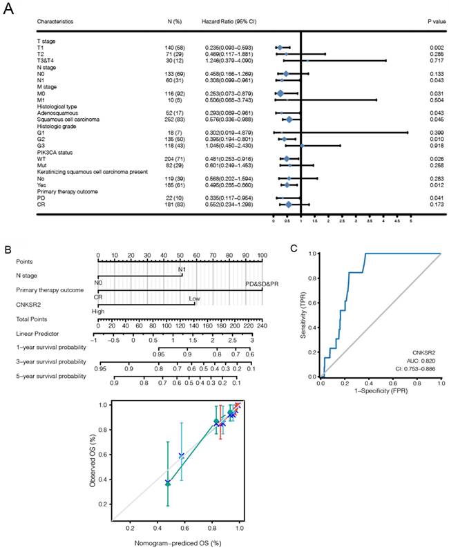 J Cancer Image