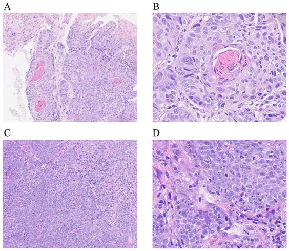 J Cancer Image