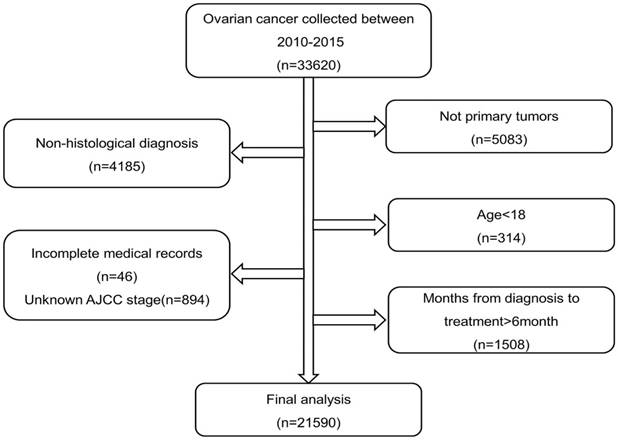 J Cancer Image