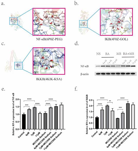 J Cancer Image