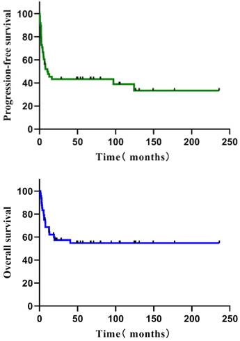 J Cancer Image