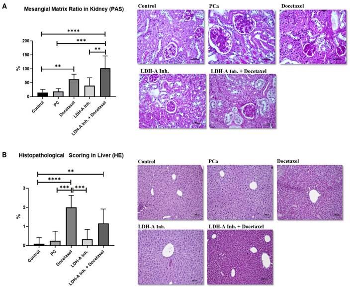 J Cancer Image