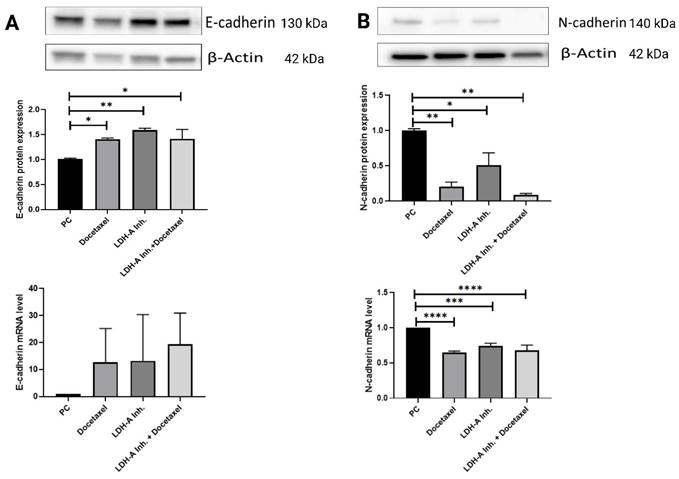 J Cancer Image