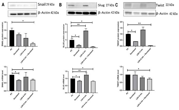 J Cancer Image