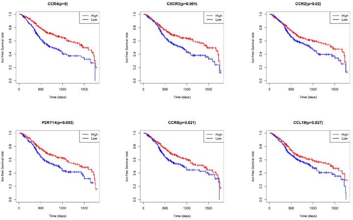 J Cancer Image